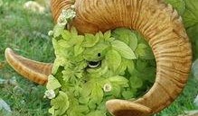 蒲公英土豆在线观看,在线观看，感受田园诗意